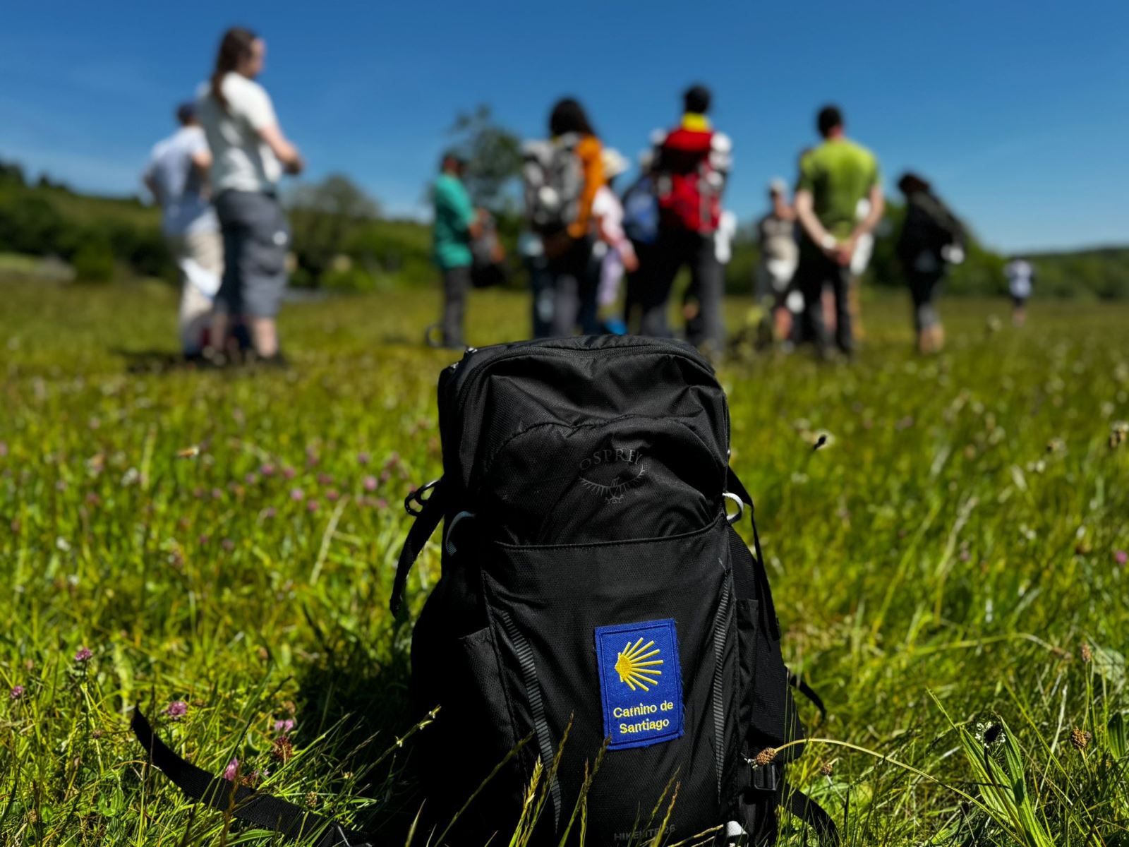 Bag with out of focus walkers